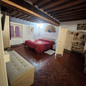 La Casa del Conte by Francigena Apartments Siena